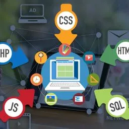 Custom Web Development