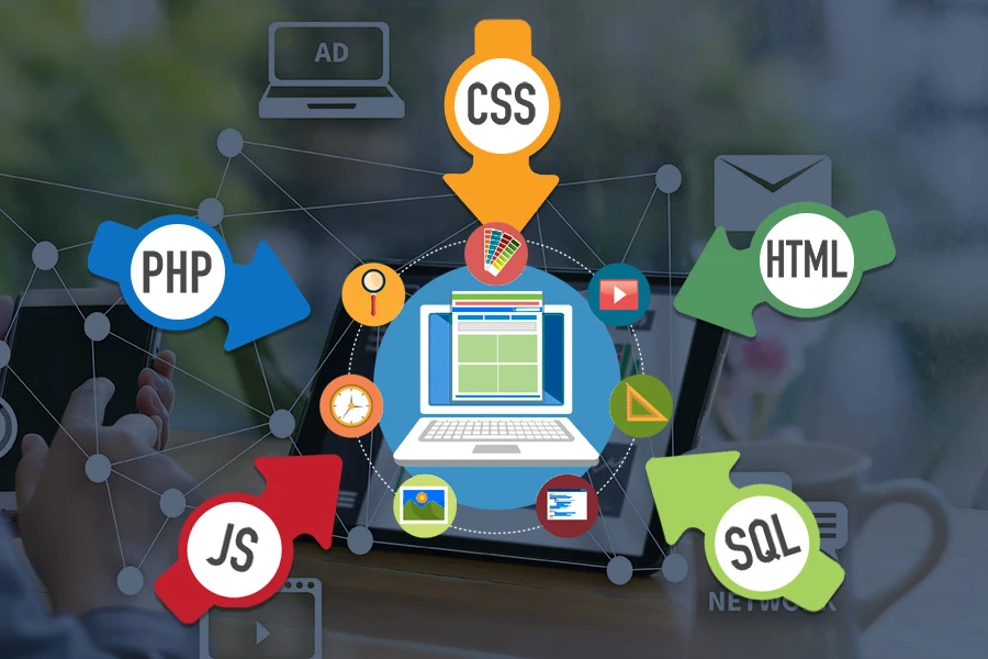 Custom Web Development