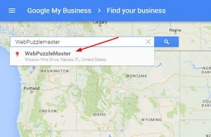search-business2-300x195 (Demo) search-business