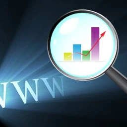 Web Development for SEM and Profits