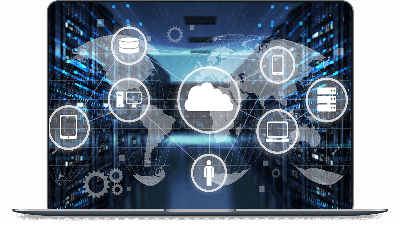 Website Hosting and Management