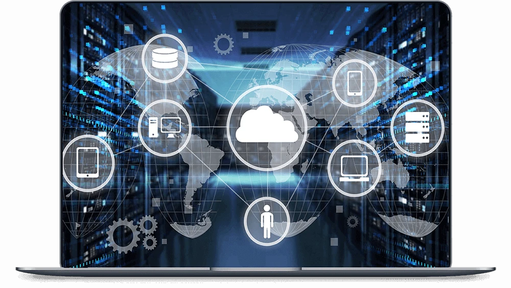 Hosting and Website Management Services