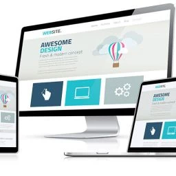 Responsive Website Design