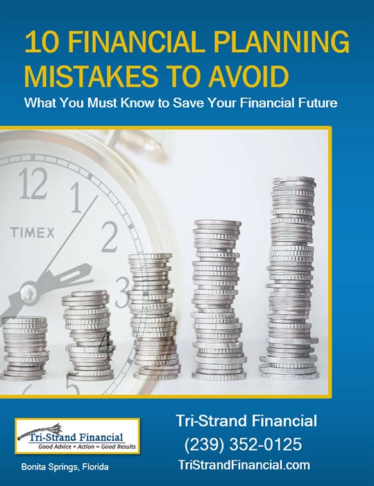 Free Report Cover for Financial Project