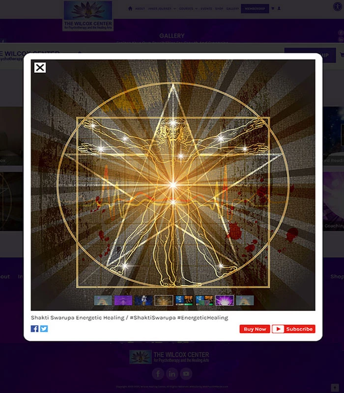 Holistic Healing, Coaching Website Gallery Item Details